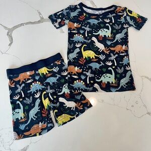 Little Sleepies 🦕 Jurassic Jungle shirt pajamas size 3T